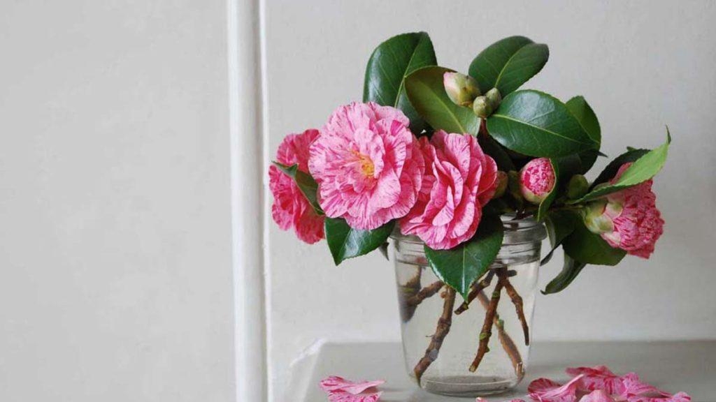 Floral Arrangement in Clear Jar and Simple Glass Jar Florals