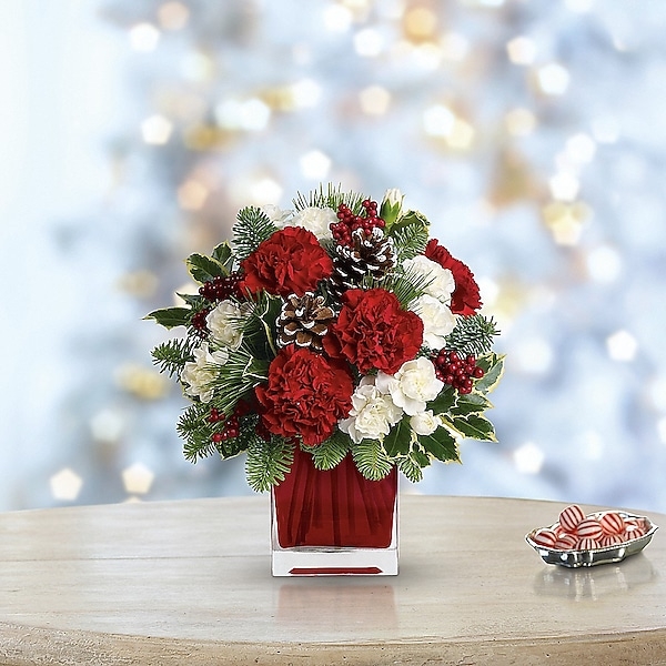 Floral Arrangement: Square Red Vase and Snow Tipped Pinecones