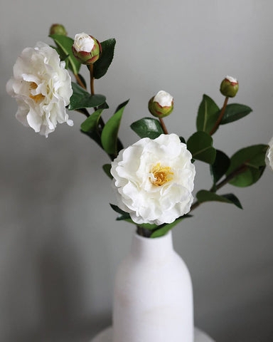 Floral Stem with Deep Green Foliage and White Camellia Floral Stem
