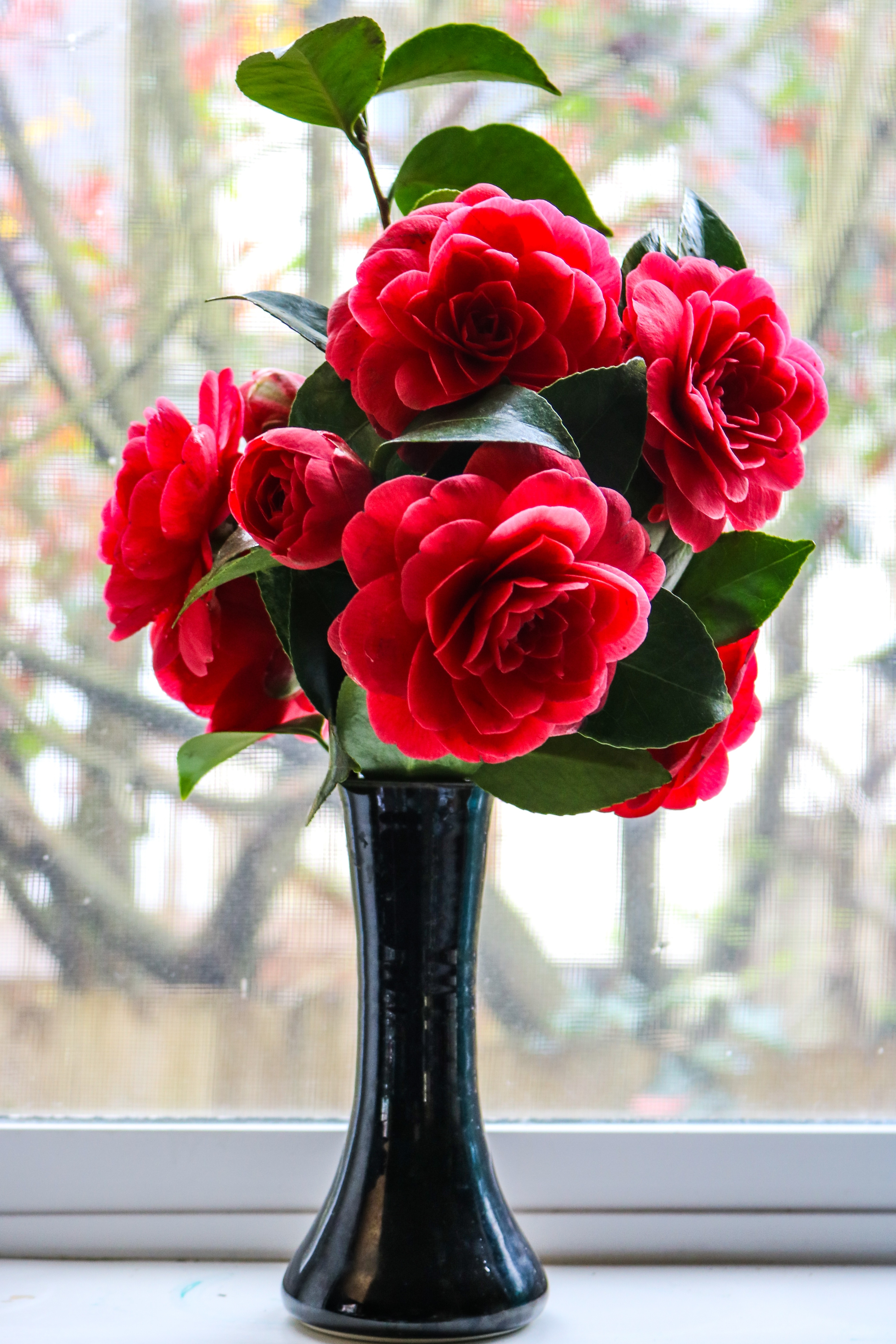 Flower Vase with Tapered Black Vase and Glossy Black Bud Vase