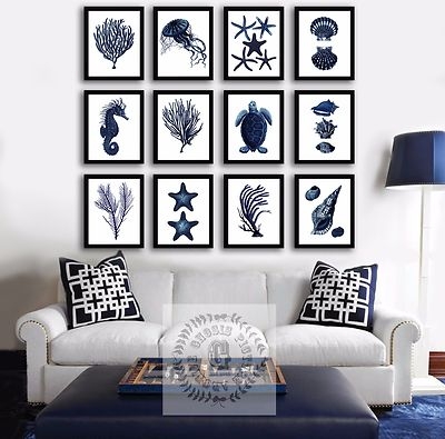 Gallery Wall Art Twelve Piece Set Marine Life Art Set