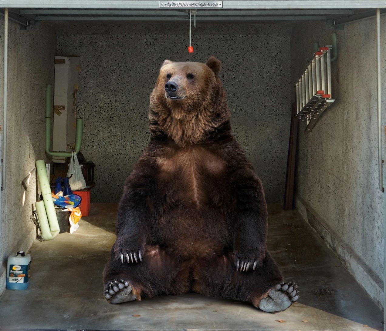 Garage Door Decal Grizzly Bear Graphic Garage Conversion Bear Mural