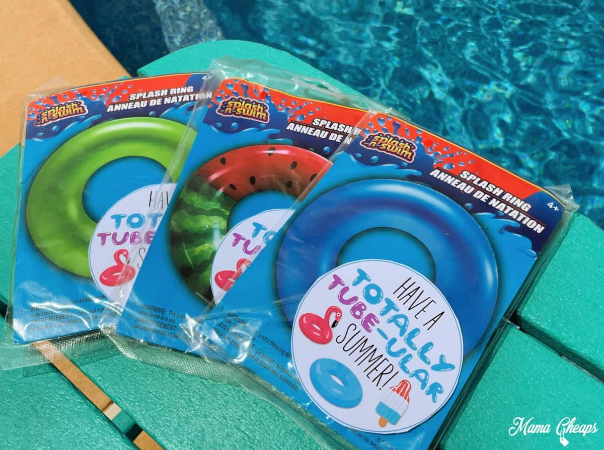 Pool Float Punny Gift Tag Watermelon Print Inflatable Ring Party Favors