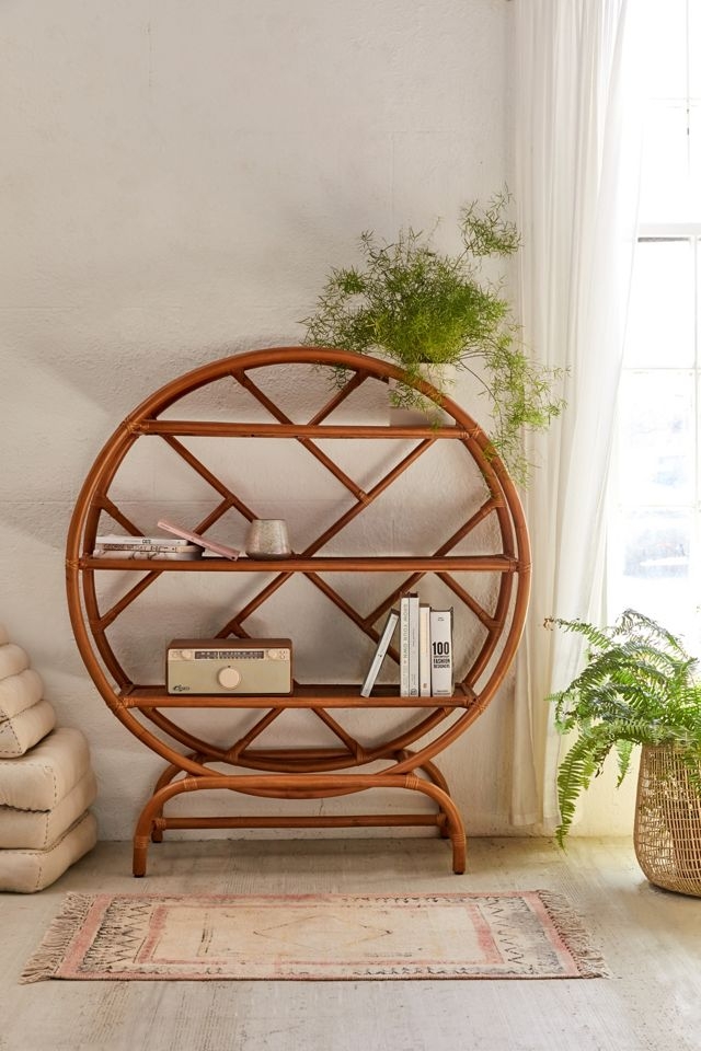 Round Bookshelf Circular Silhouette Geometric Lattice