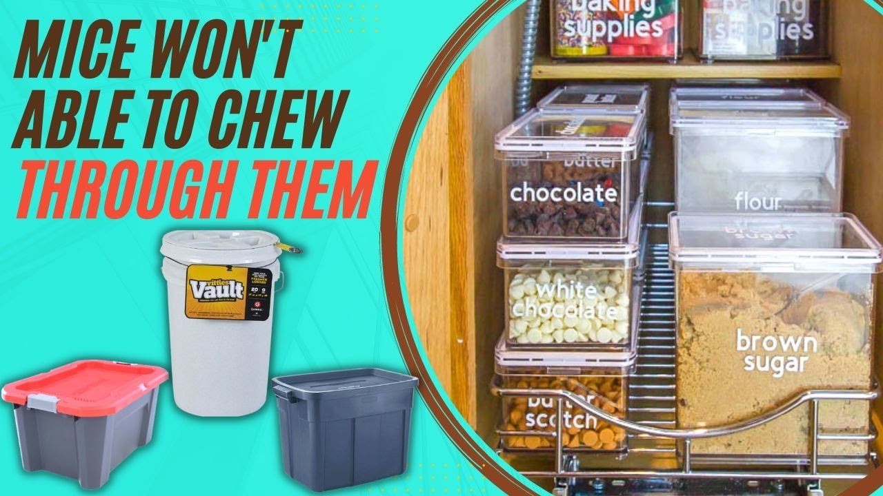 Storage Container: Airtight Lids with Integrated Typography Labels