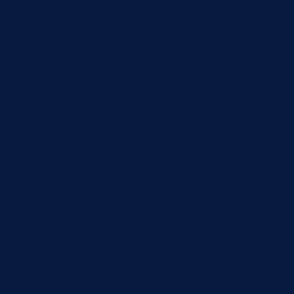Swatch matte navy blue solid color interior accent