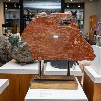 Tabletop Sculpture of Polished Fossil Slice and Bronze Stand