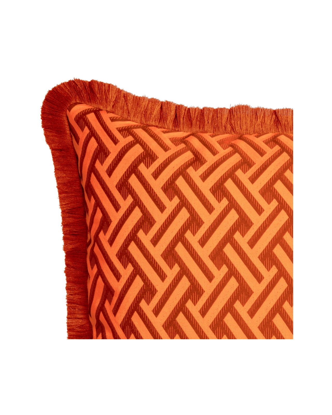 Throw Cushion Long Fringe Trim Maximalist Decorative Cushion