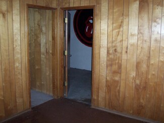 Wall Paneling with Retro Honey Oak and Vertical Wood Walls