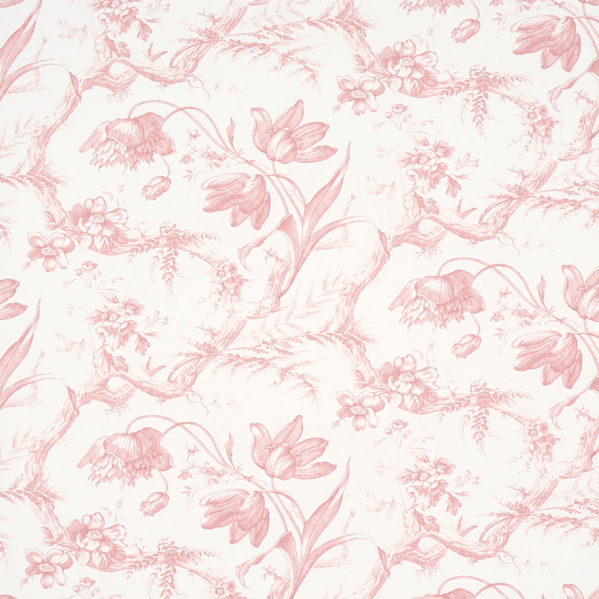 Wallpaper: Soft Pink Gnarled Branches Tulip Botanical