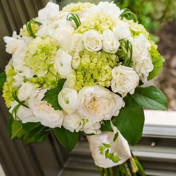 Wedding Bouquet with Lime Green Hydrangea and White Camellia Bouquet