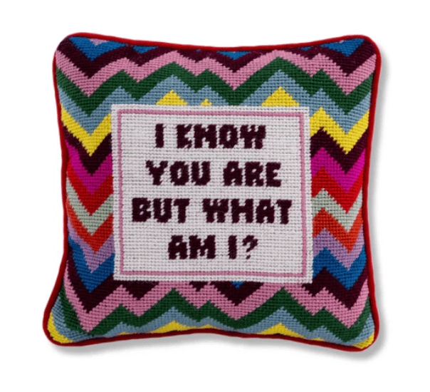 Accent Pillow with Chevron Frame and Witty Needlepoint Quote