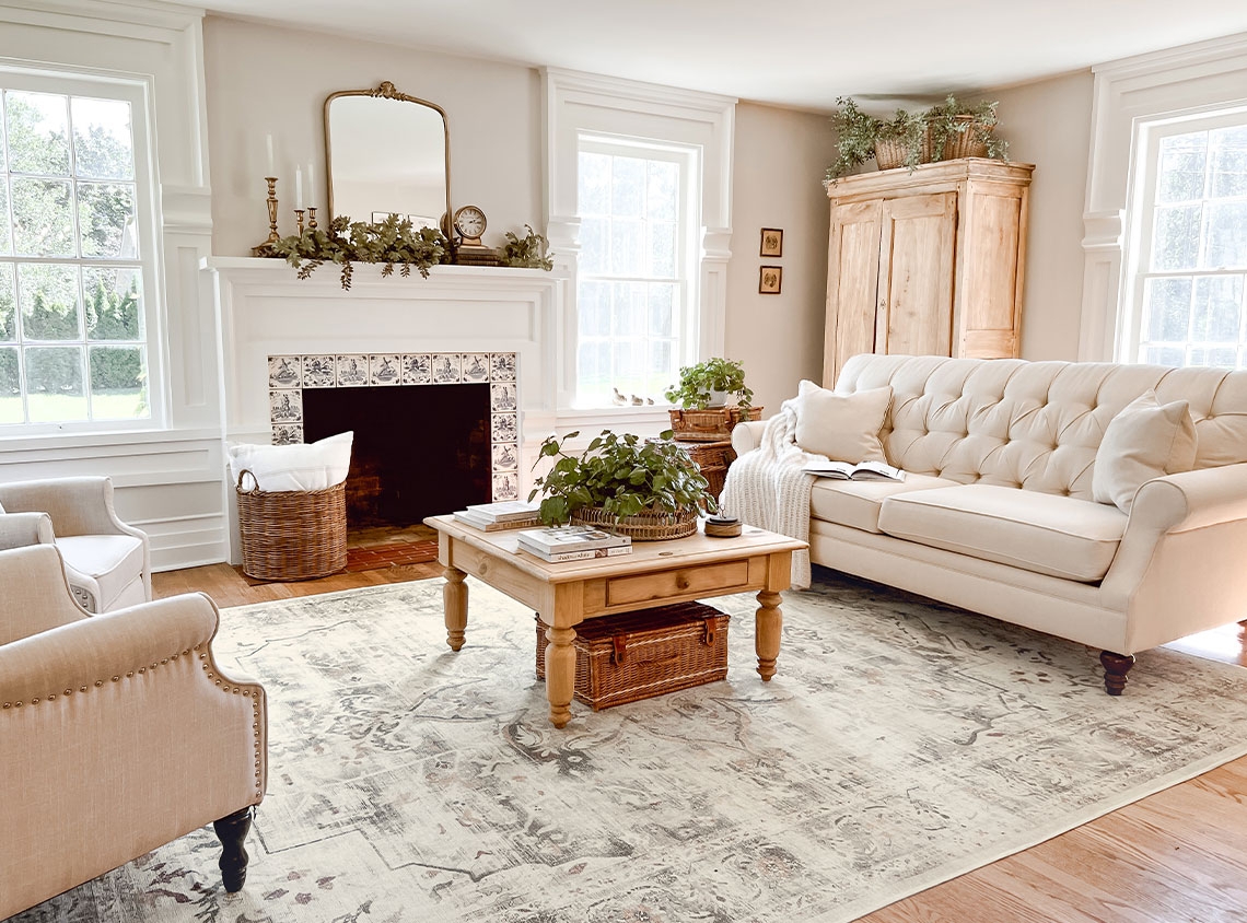 Area Rug: Wicker Accents Distressed Living Room Rug