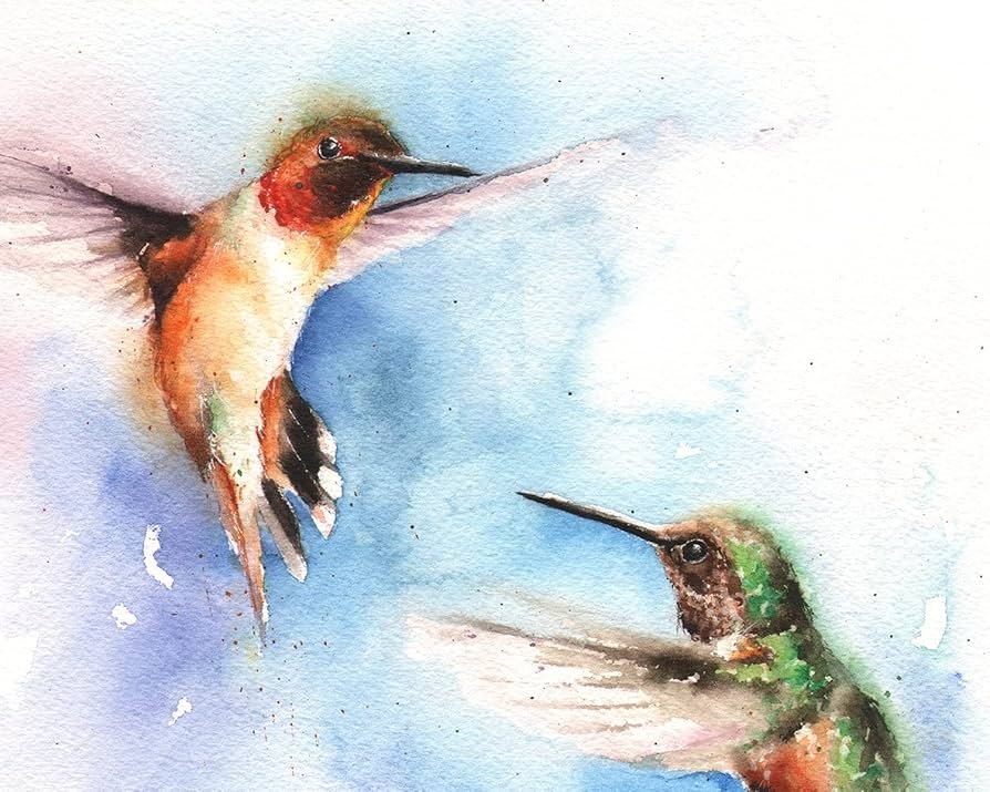Art Print: Rufous Hummingbird Watercolor Wash Fine Splatters