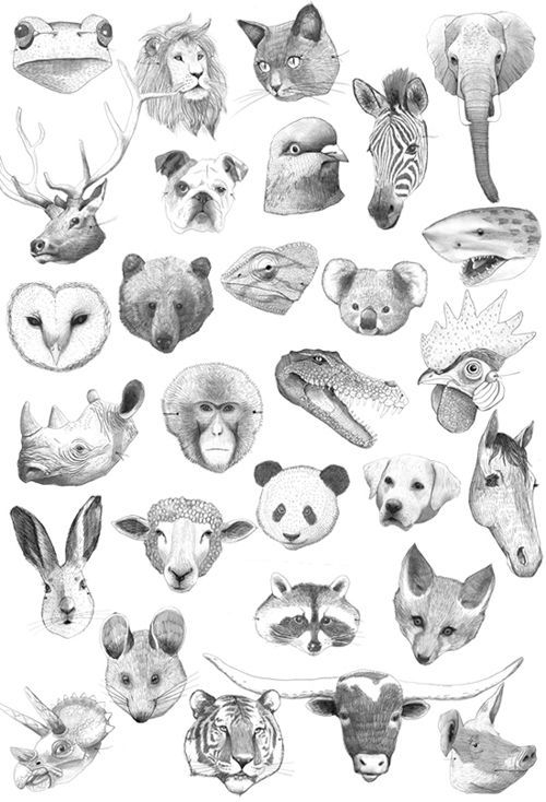 Art Print with Realistic Pencil Shading for Nature-Inspired Gallery Print