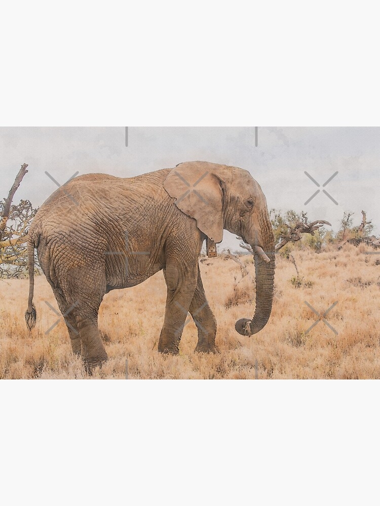 Art Print Wrinkled Skin Texture Savanna Elephant Watercolor Art