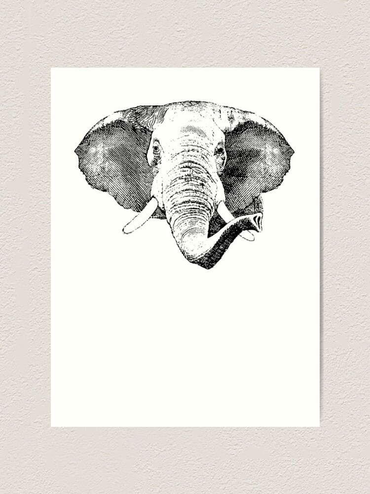 Art Print Zoological Etching with Upward Trunk Sketch Print