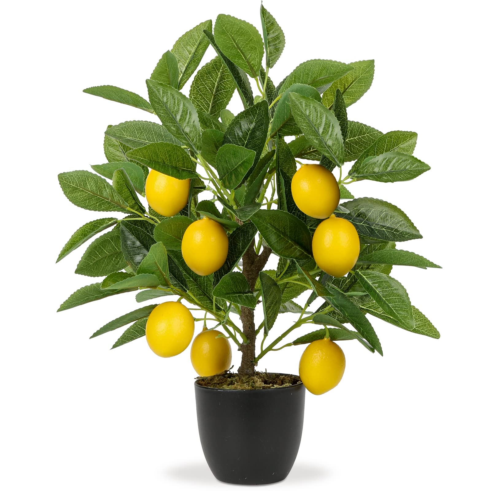 Artificial Lemon Tree Matte Black Pot Black Potted Citrus