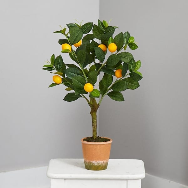Artificial Lemon Tree Weathered Terracotta Compact Artificial Lemon Tree