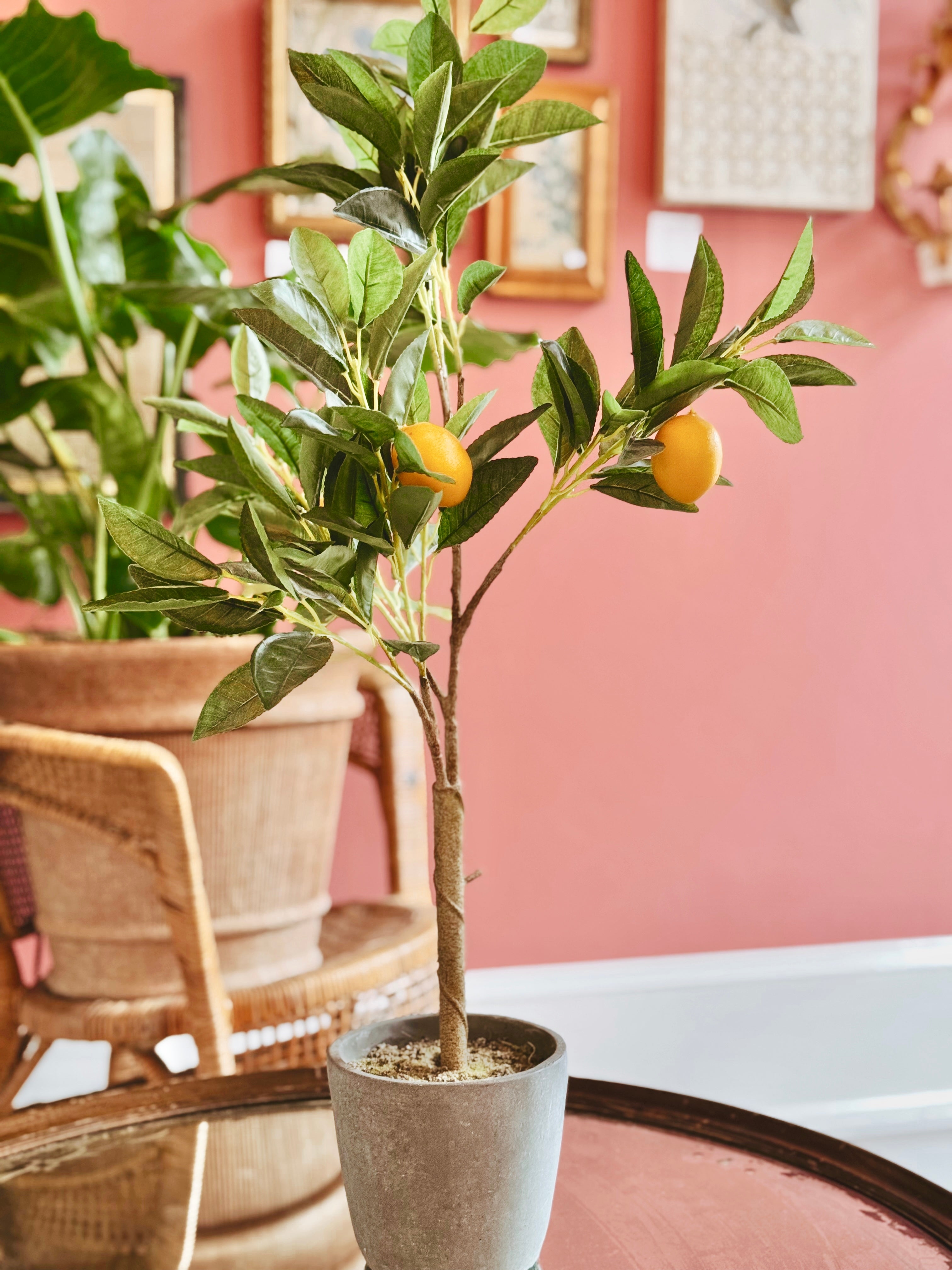 Artificial Plant Slate Grey Pot Kitchen Counter Botanical