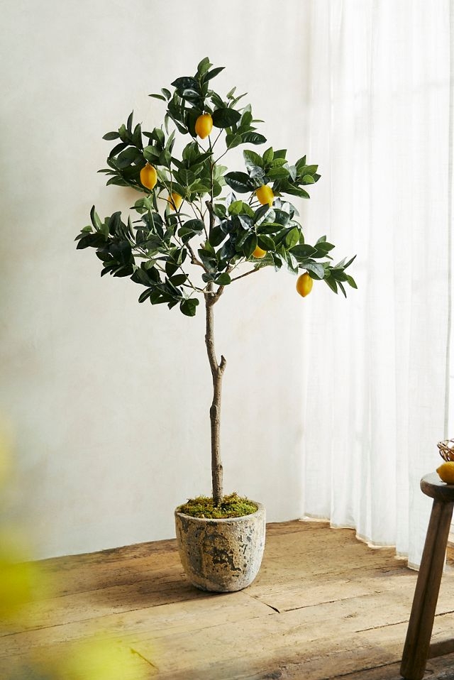 Artificial Tree Distressed Stone Pot Tall Faux Lemon Tree