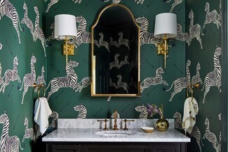 Bathroom Vanity Zebra Print Emerald Green Mirror Decor