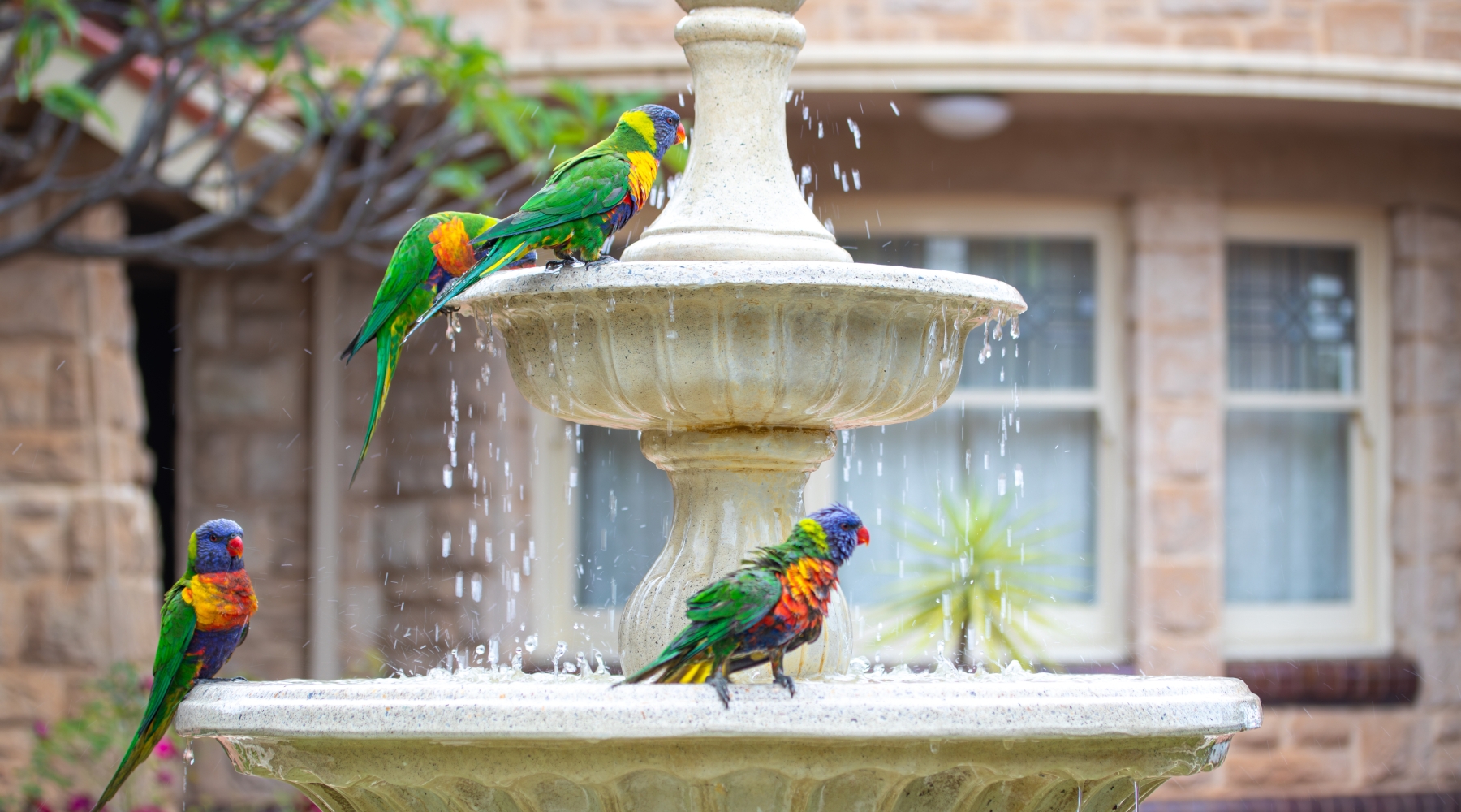 Bird Bath Fountain Cream Stone Like Multi Tiered