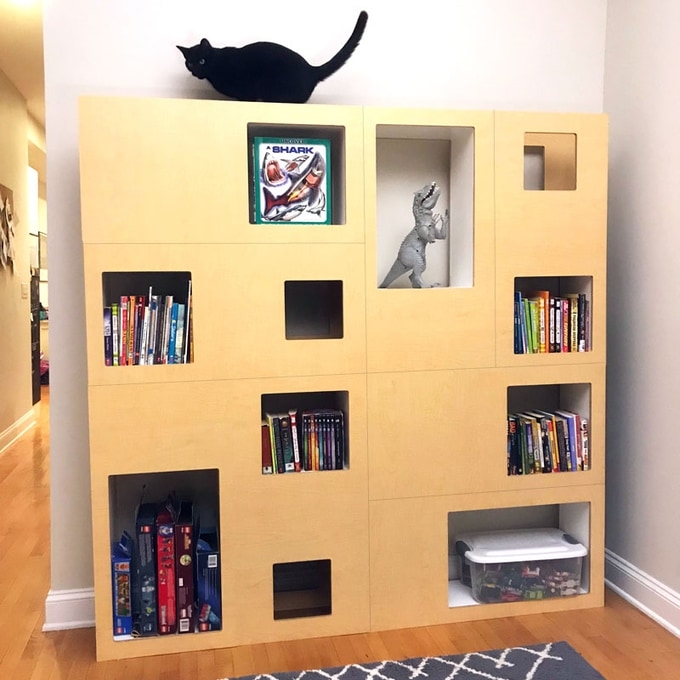 Bookcase with Internal Tunnels: Modern Feline Storage