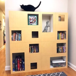 Bookcase with Internal Tunnels: Modern Feline Storage