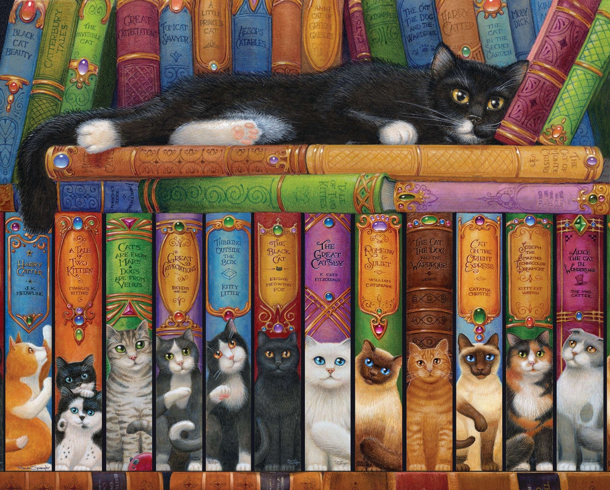 Bookshelf Illustration featuring Cat Pun Titles and Art