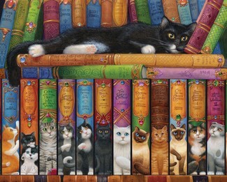 Bookshelf Illustration featuring Cat Pun Titles and Art