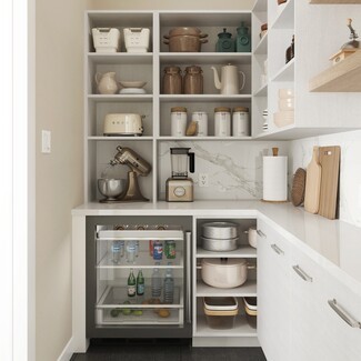 Butler's Pantry Wood Grain Cabinetry and Glass Front Fridge Idea
