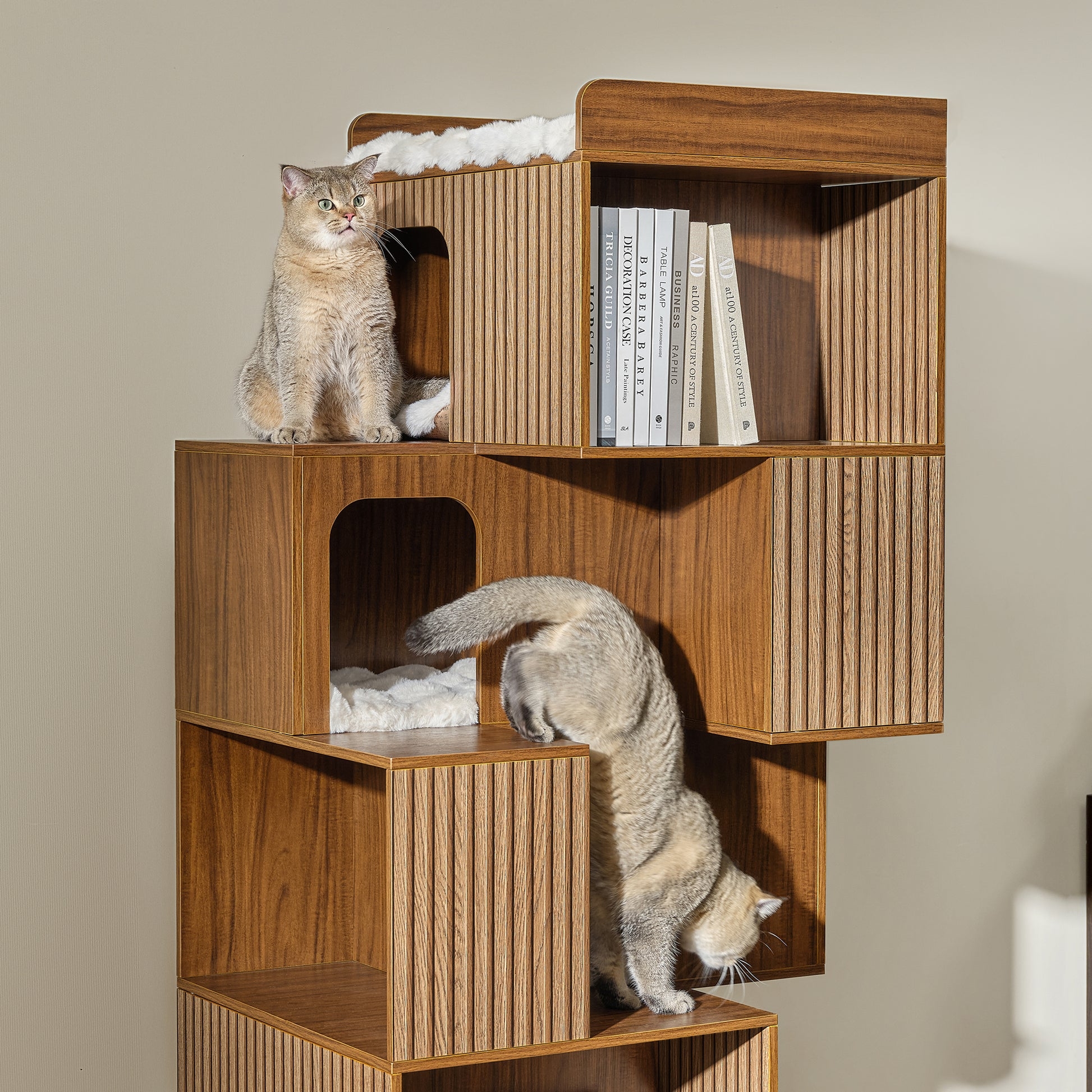 Cat Bookcase