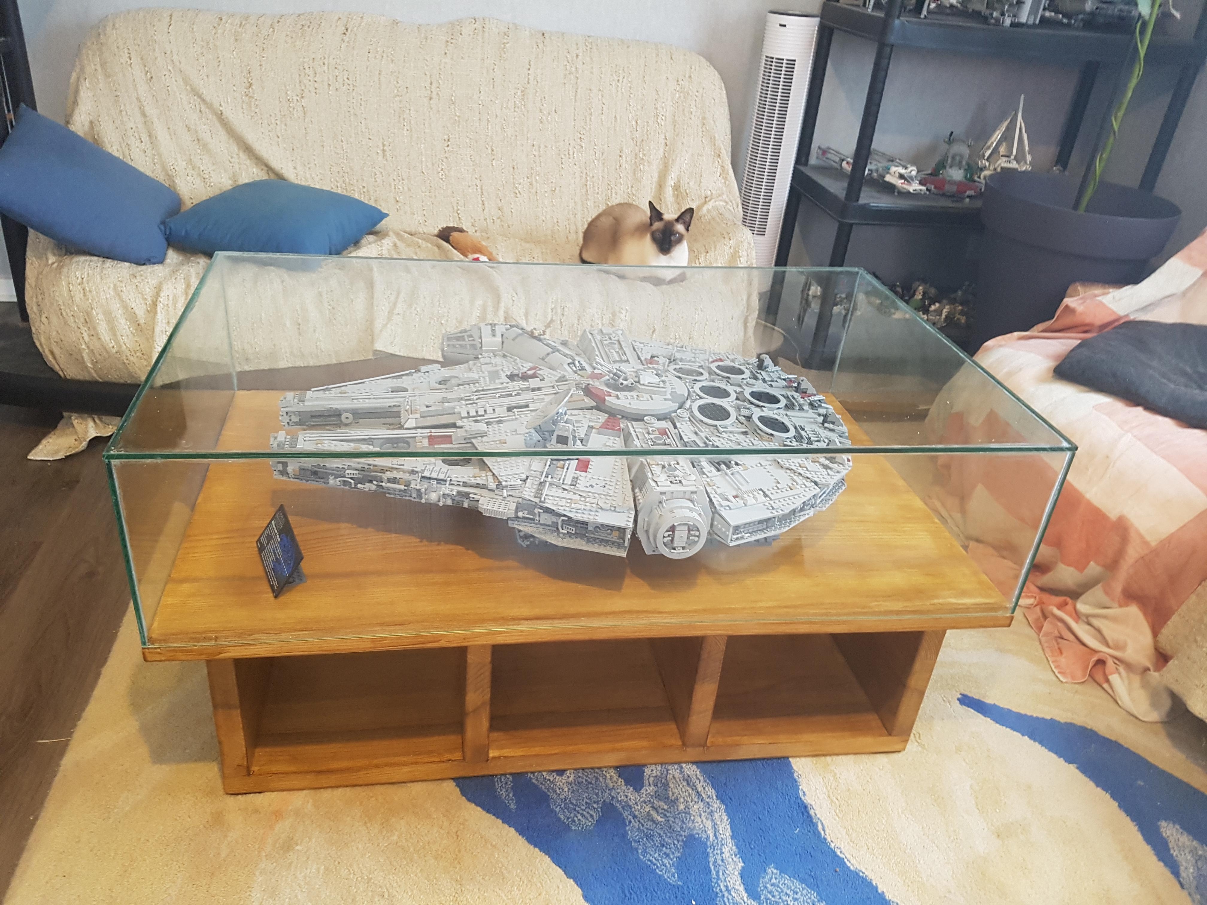 Coffee Table Open Storage Cubbies Integrated Display Case