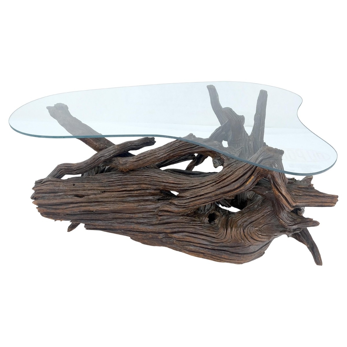 Coffee Table with Amoeba Shaped Glass Top and Sculptural Roots