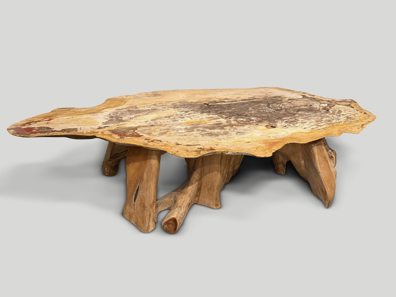 Coffee Table with Petrified Wood Top and Teak Root Base