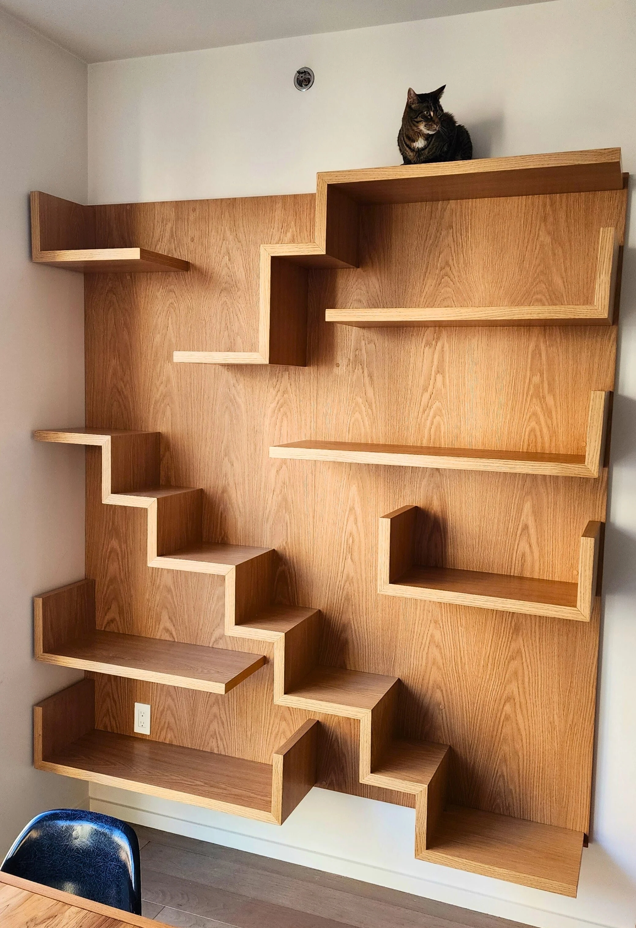 Custom Cat Bookshelf with Architectural Feline Staircase