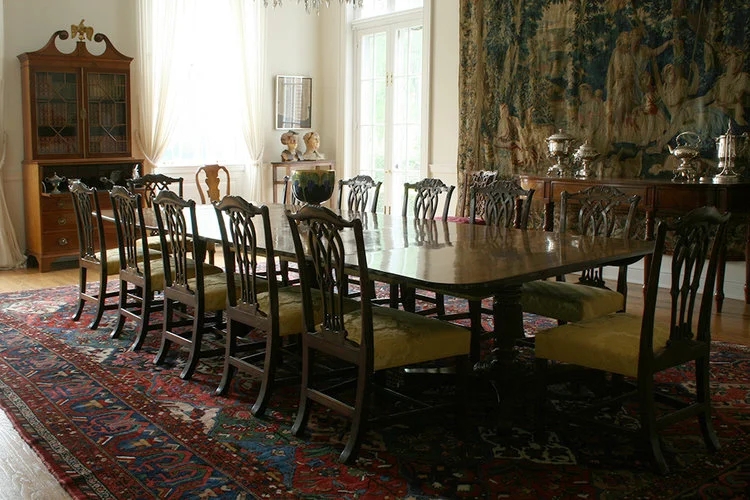 Dining Chair with Golden Upholstery and Chippendale Dining Chairs