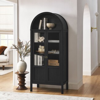Display Cabinet with Glass Doors and Ebony Wood Display