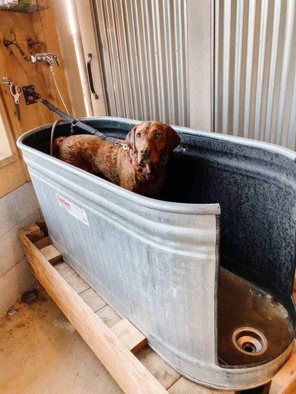 Dog Bath Tub with Stock Tank Design for DIY Stock Tank Dog Wash