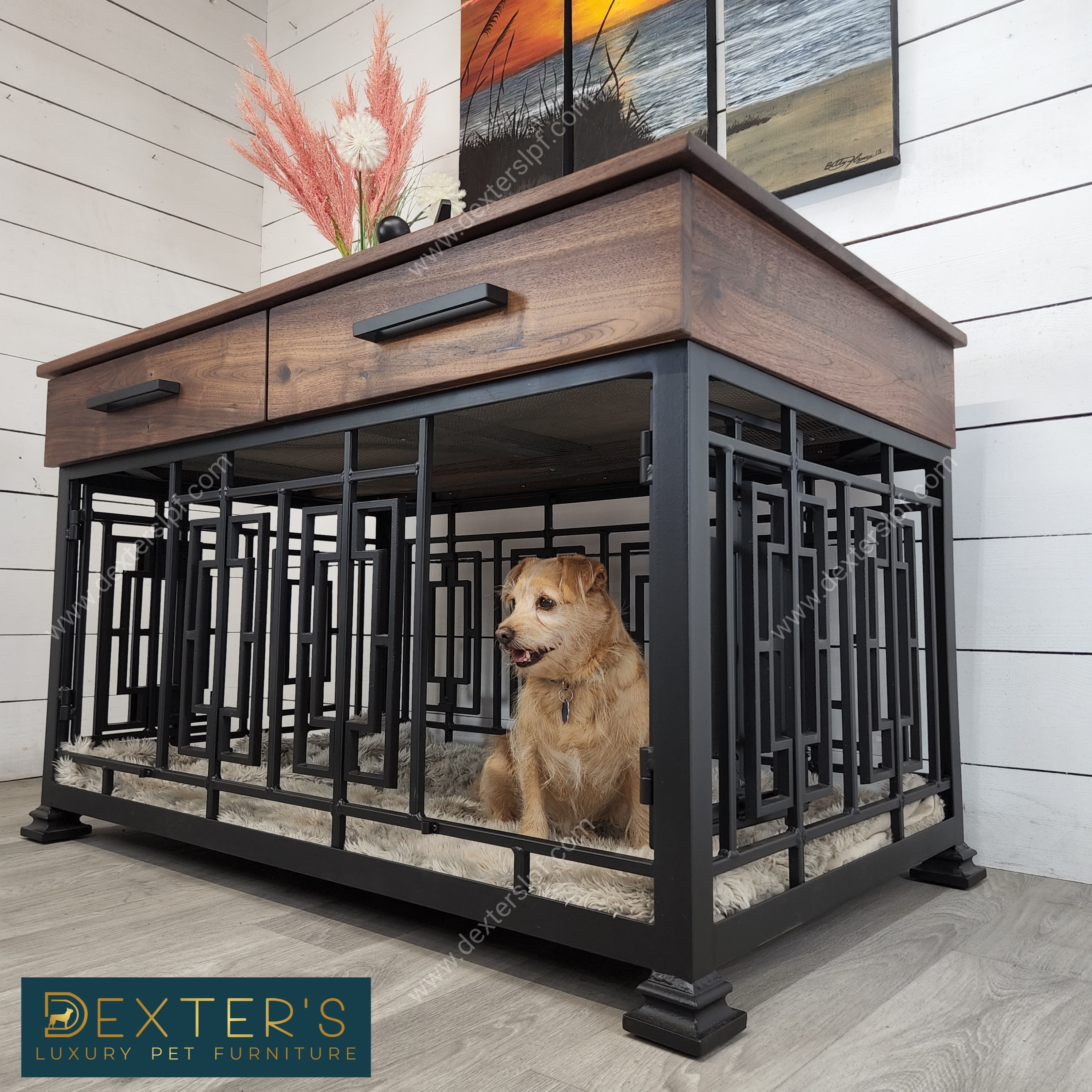 Fancy Dog Kennels