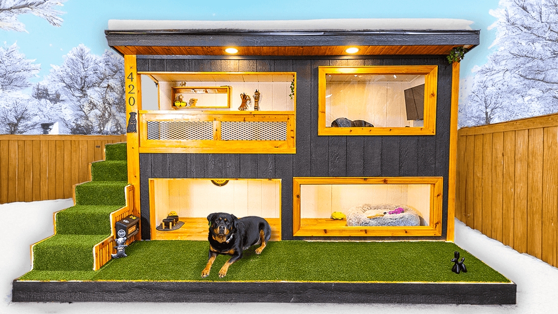 Dog House Two Story Custom Kennel with Turf Stairs