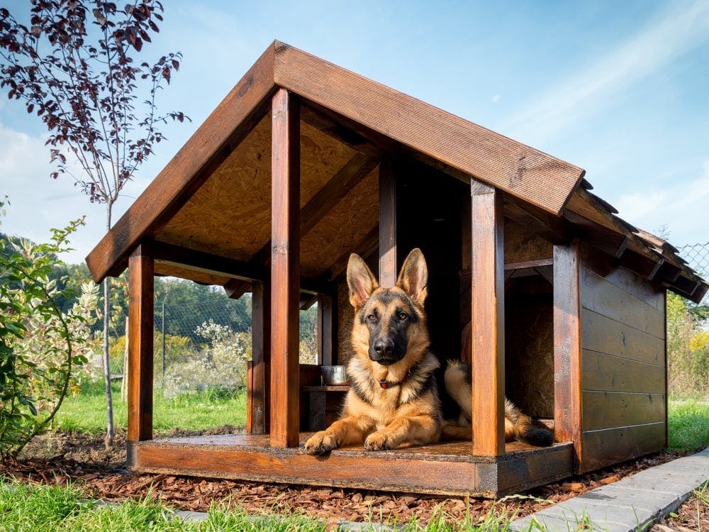 Dog House with Asymmetrical Roof Raised Platform Design