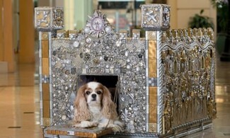 Dog Kennel Castle Silhouette with Metallic Jewel Decor