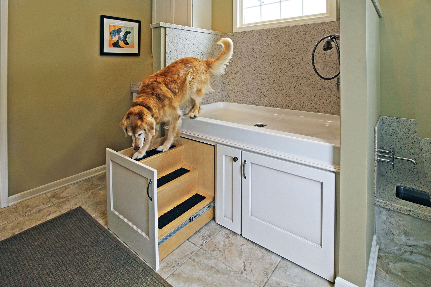 Dog Wash Station featuring Pull Out Stairs for Built-In Pet Bath