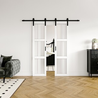 Double Barn Door: Frosted Panels White French Doors