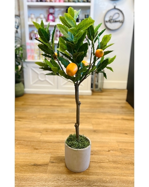 Faux Lemon Tree Slim Profile Moss Base Lifelike Indoor Lemon Tree