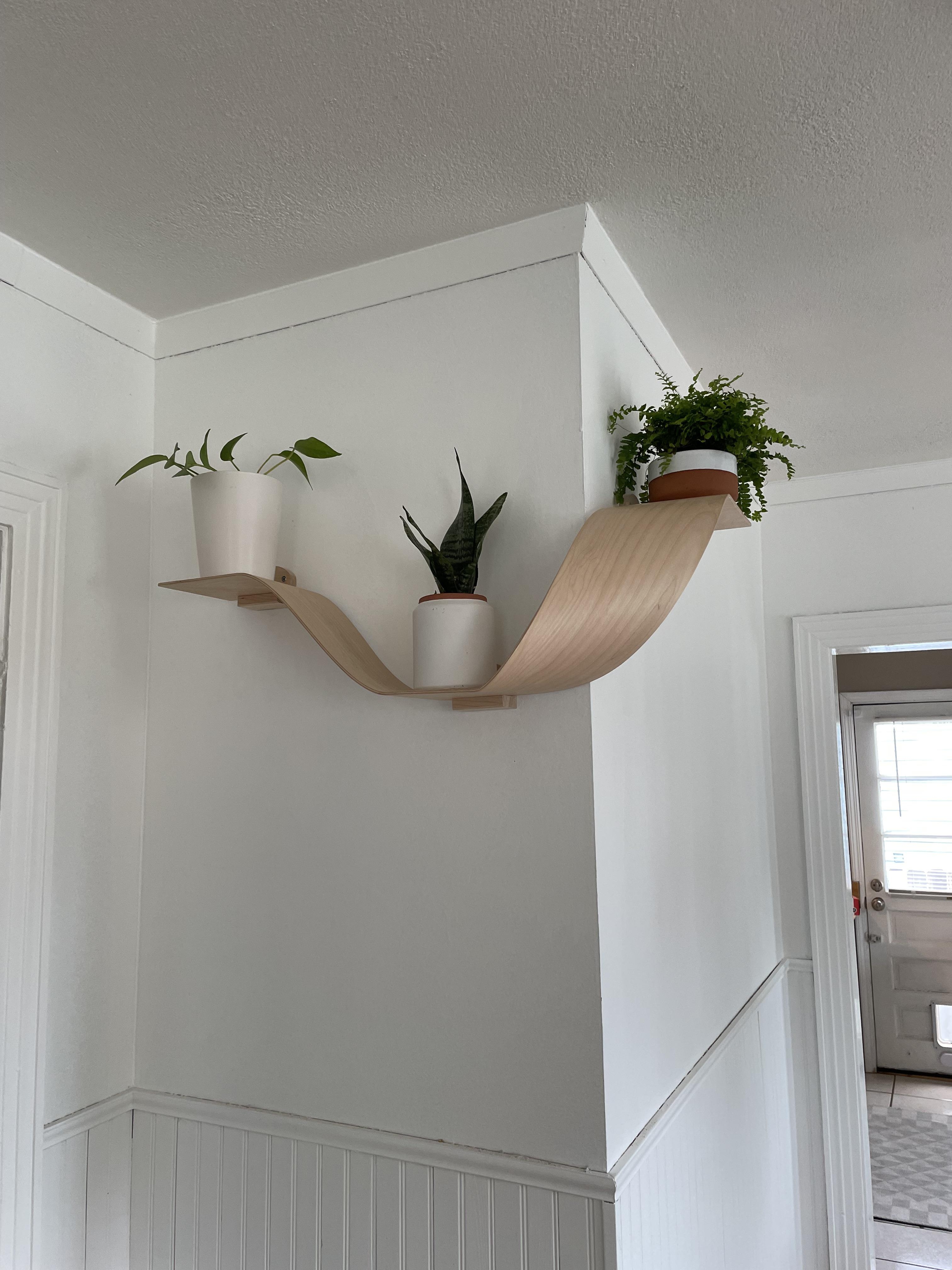 Floating Shelf Wrap Around Corner S-Curve Bent Wood