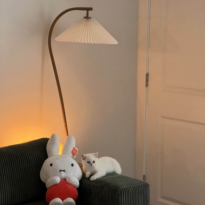 Floor Lamp Arcing Wood Stand and Pleated Conical Shade
