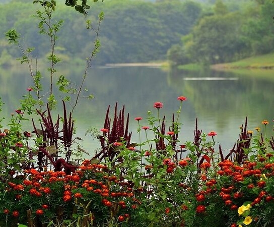Flower Border with Burgundy Spikes and Lakeside Garden Planting